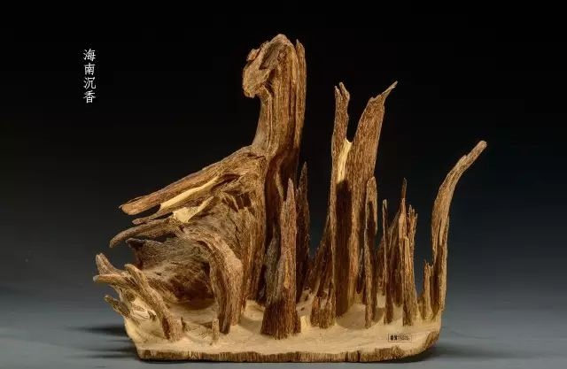 1631246501435761.jpg 640 (6).jpg