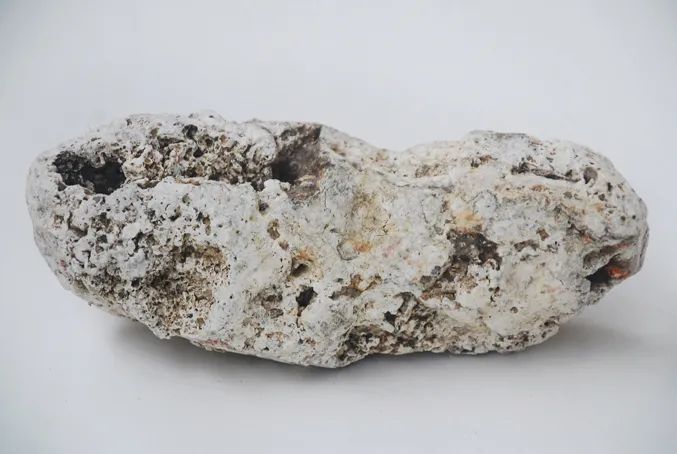 1631247350218123.jpg 640 (1).jpg