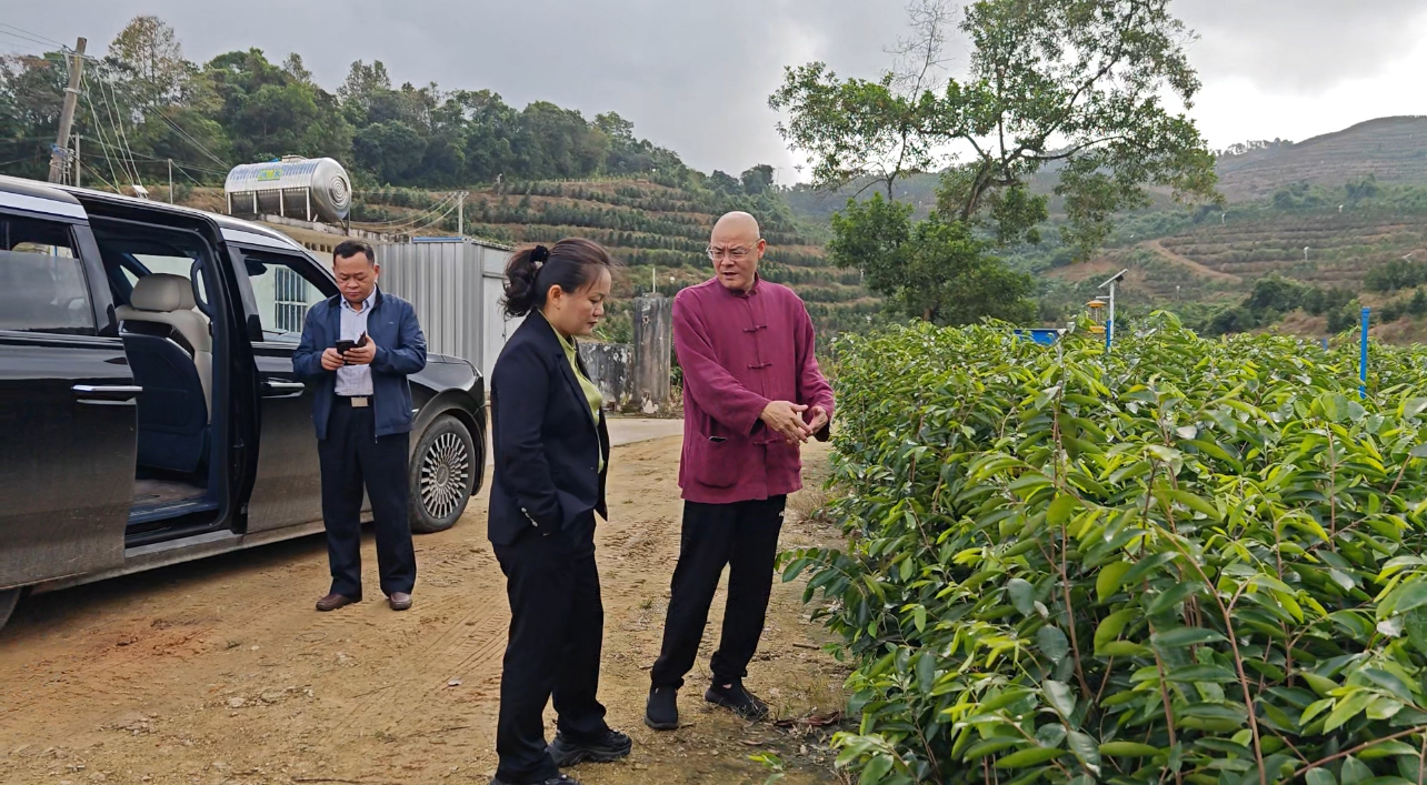 1704188738681695.jpg 1704188738681695.jpg