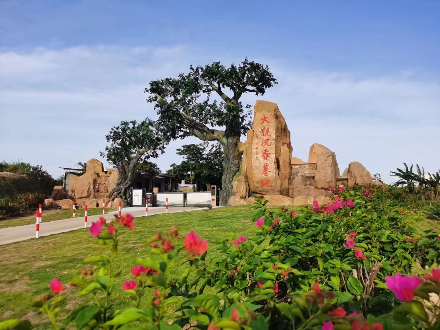 1729680453414883.jpg 1729680453414883.jpg