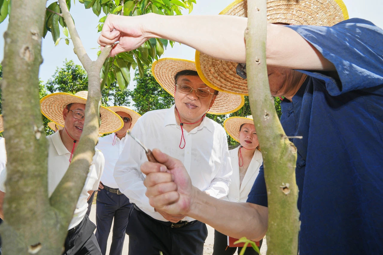 1745503770770165.jpg 1745503770770165.jpg