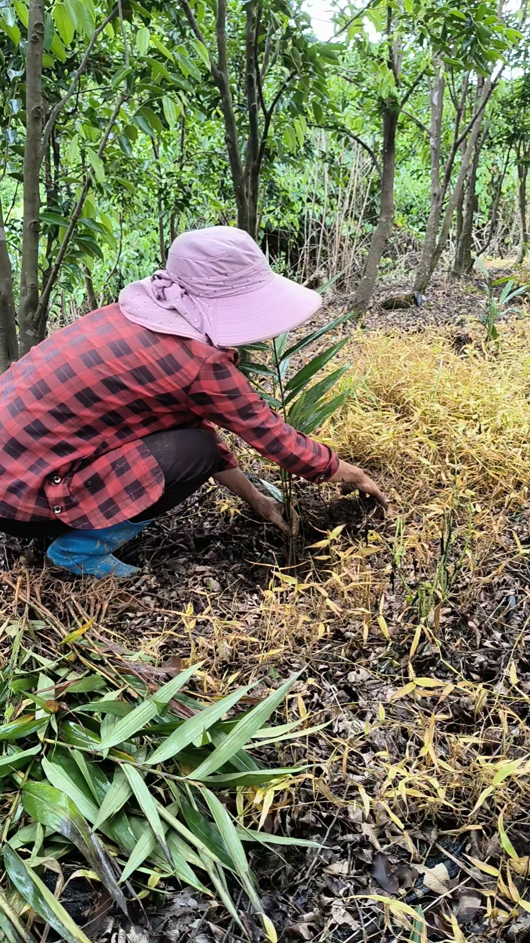 1750998525811154.jpg 1750998525811154.jpg